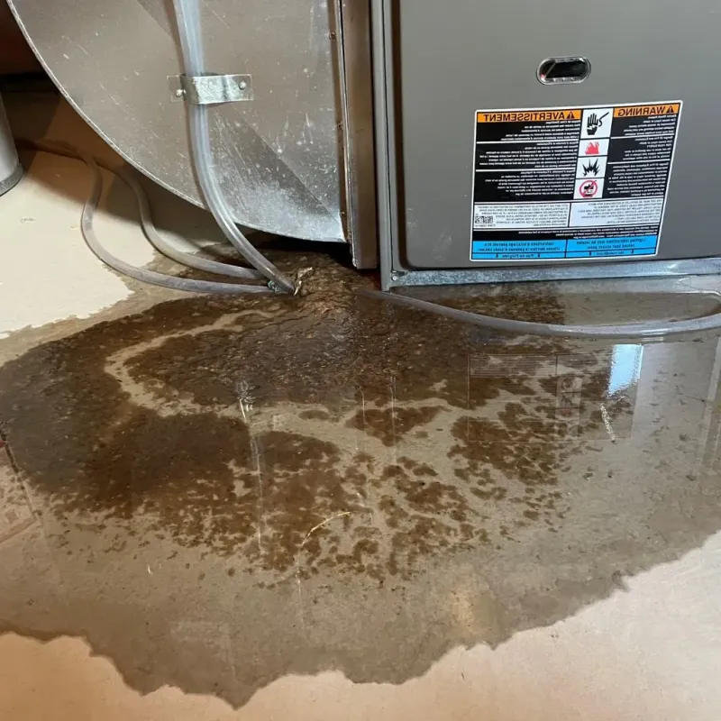 Pipe Burst and Leak Restoration in Garfield County, WA