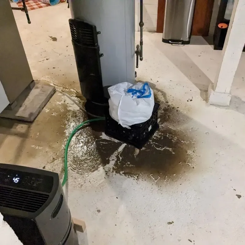 Sewage Backup Cleanup Service in Garfield County, WA